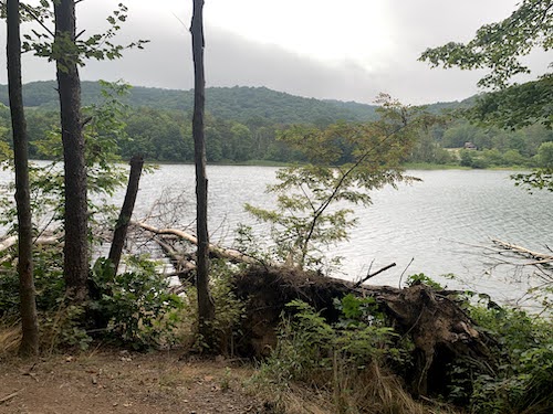 Allegany image