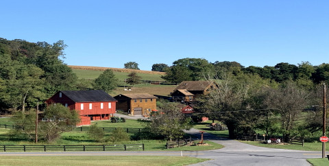Carroll image